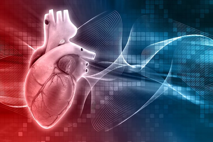 Remplacement De Valves Cardiaques Tunisie